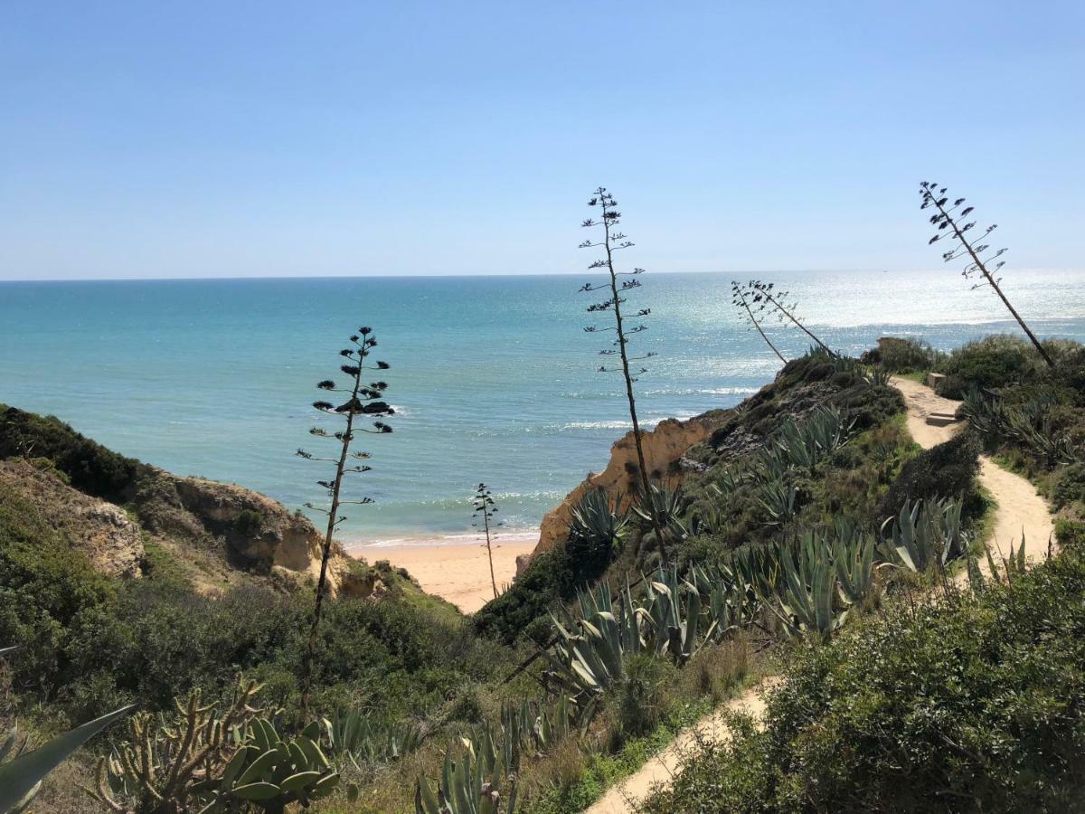 T3 Holiday Cottage Near The Beach | C225 Поршеш Екстериор снимка